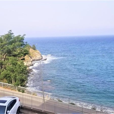 Appartement T3 A Banyuls, Climatise, Proche Plage - Fr-1-309-281 Екстериор снимка