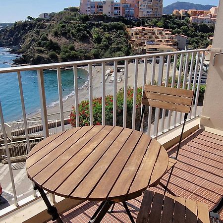 Appartement T3 A Banyuls, Climatise, Proche Plage - Fr-1-309-281 Екстериор снимка